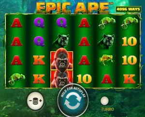 Meilleur epic ape slot review à Canada